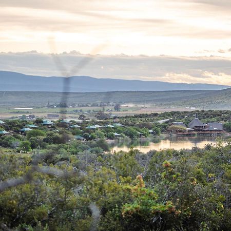 Buffelsdrift Game Lodge Oudtshoorn Exteriör bild