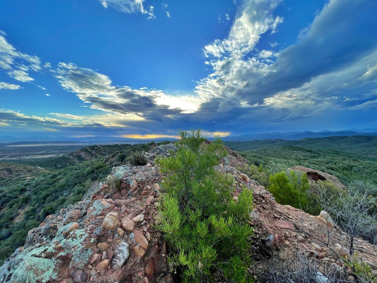 Buffelsdrift Game Lodge Oudtshoorn Exteriör bild