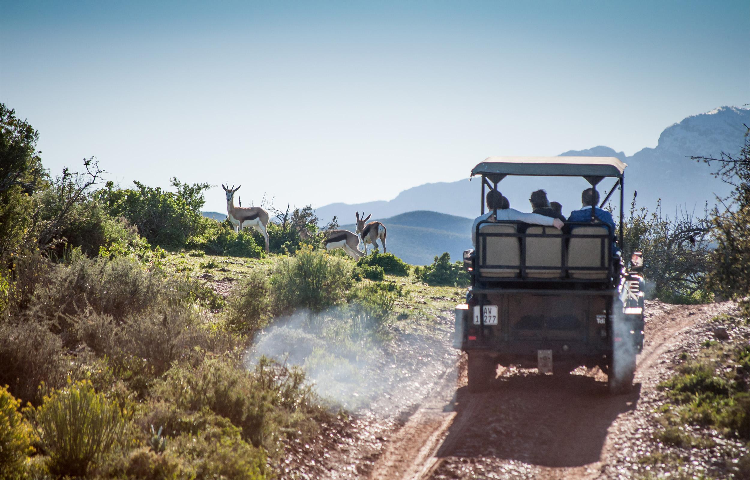 Buffelsdrift Game Lodge Oudtshoorn Exteriör bild