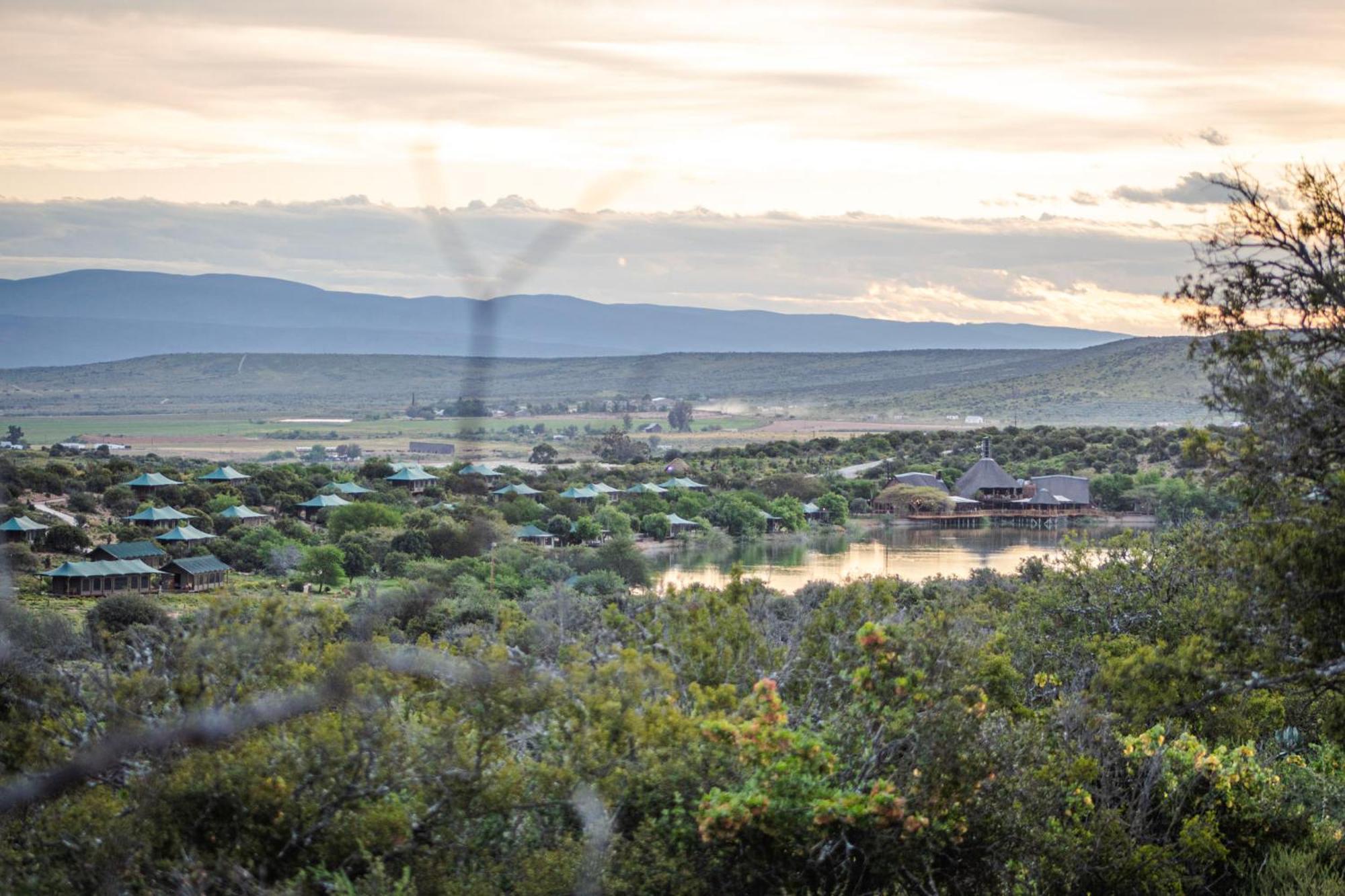 Buffelsdrift Game Lodge Oudtshoorn Exteriör bild