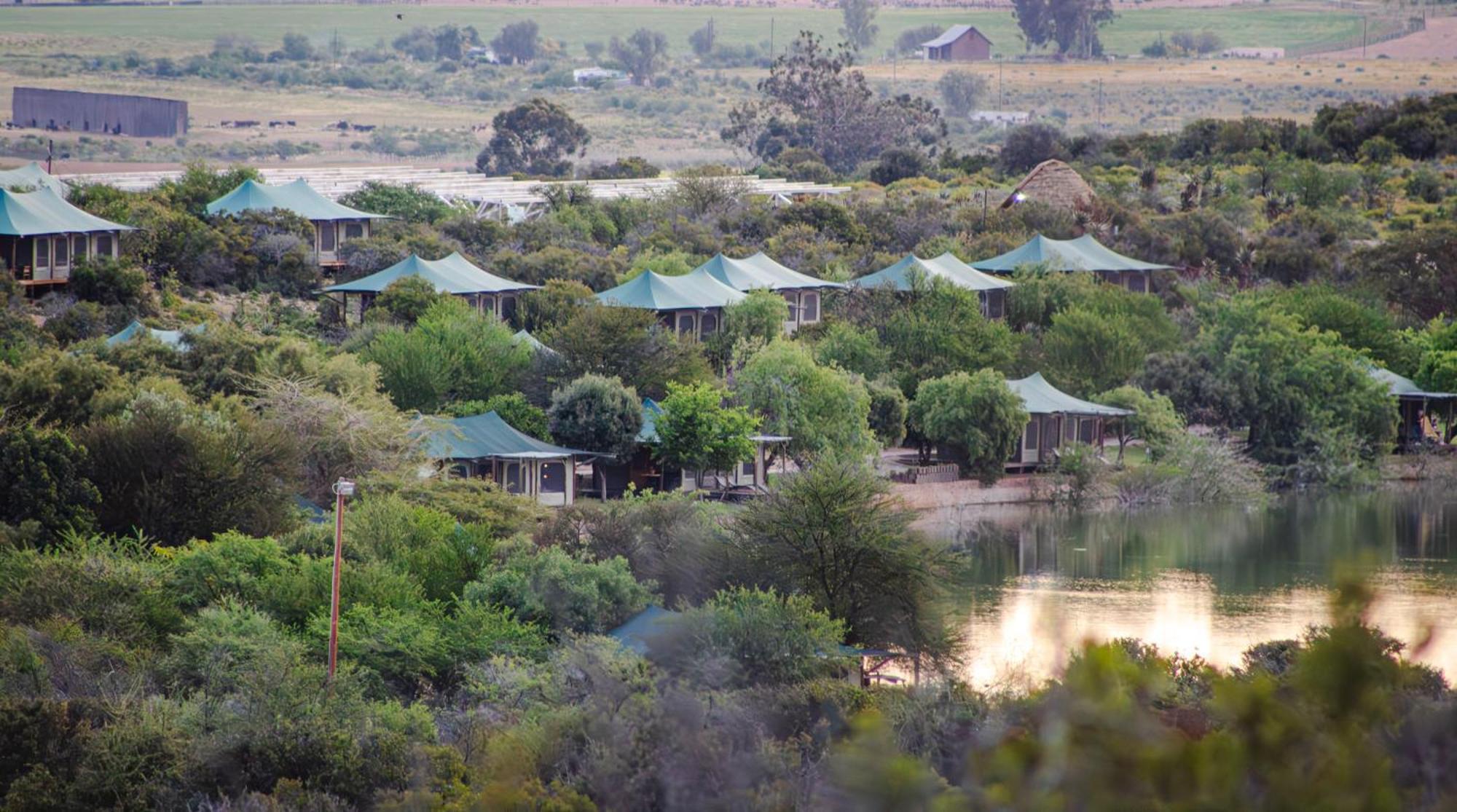 Buffelsdrift Game Lodge Oudtshoorn Exteriör bild