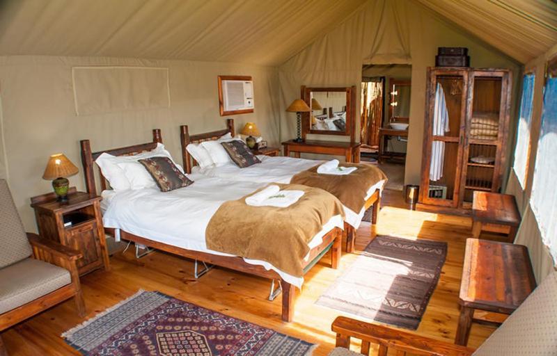 Buffelsdrift Game Lodge Oudtshoorn Rum bild