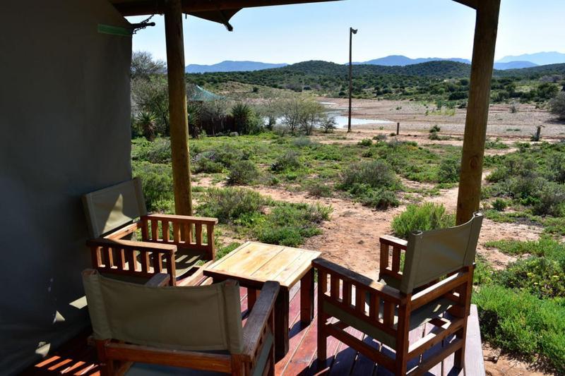 Buffelsdrift Game Lodge Oudtshoorn Rum bild