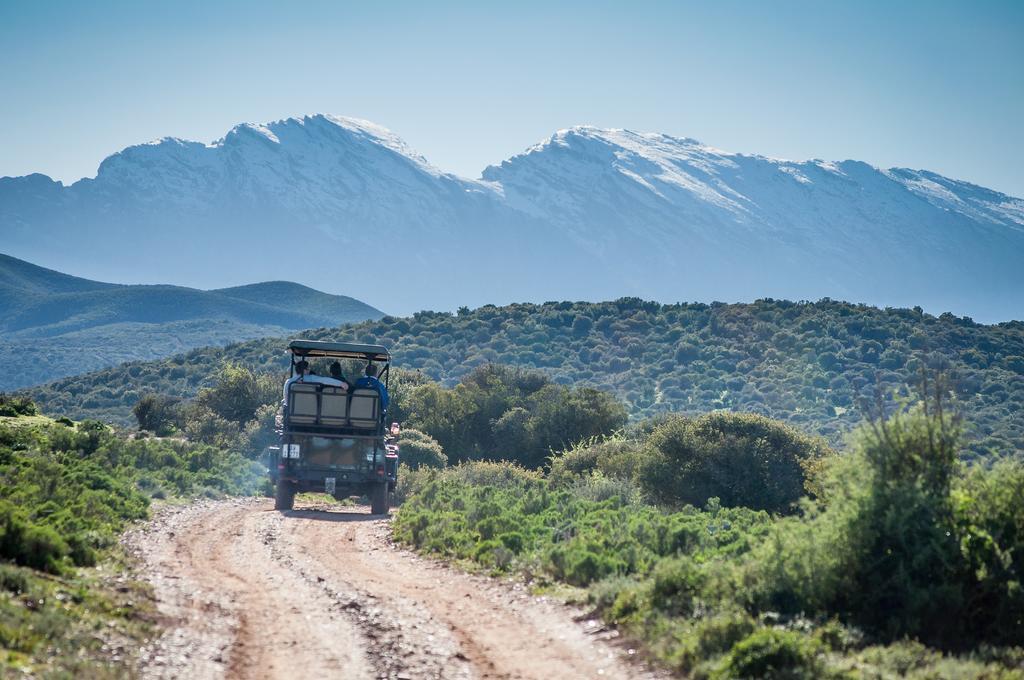 Buffelsdrift Game Lodge Oudtshoorn Exteriör bild