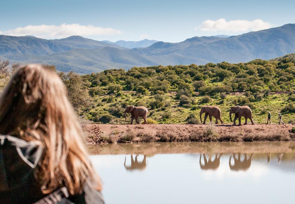 Buffelsdrift Game Lodge Oudtshoorn Exteriör bild