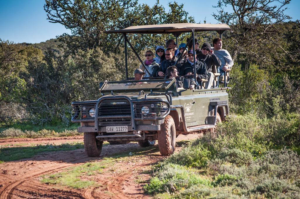 Buffelsdrift Game Lodge Oudtshoorn Exteriör bild